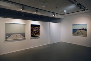 »Jan Schüler. Deutsche Landschaft«